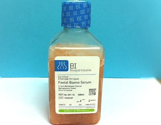 人纤维连接蛋白 Human Fibronectin 
